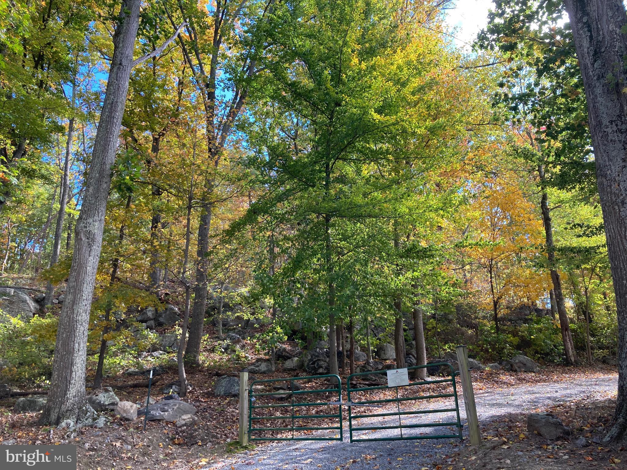 132 Mt Carmel Rd
