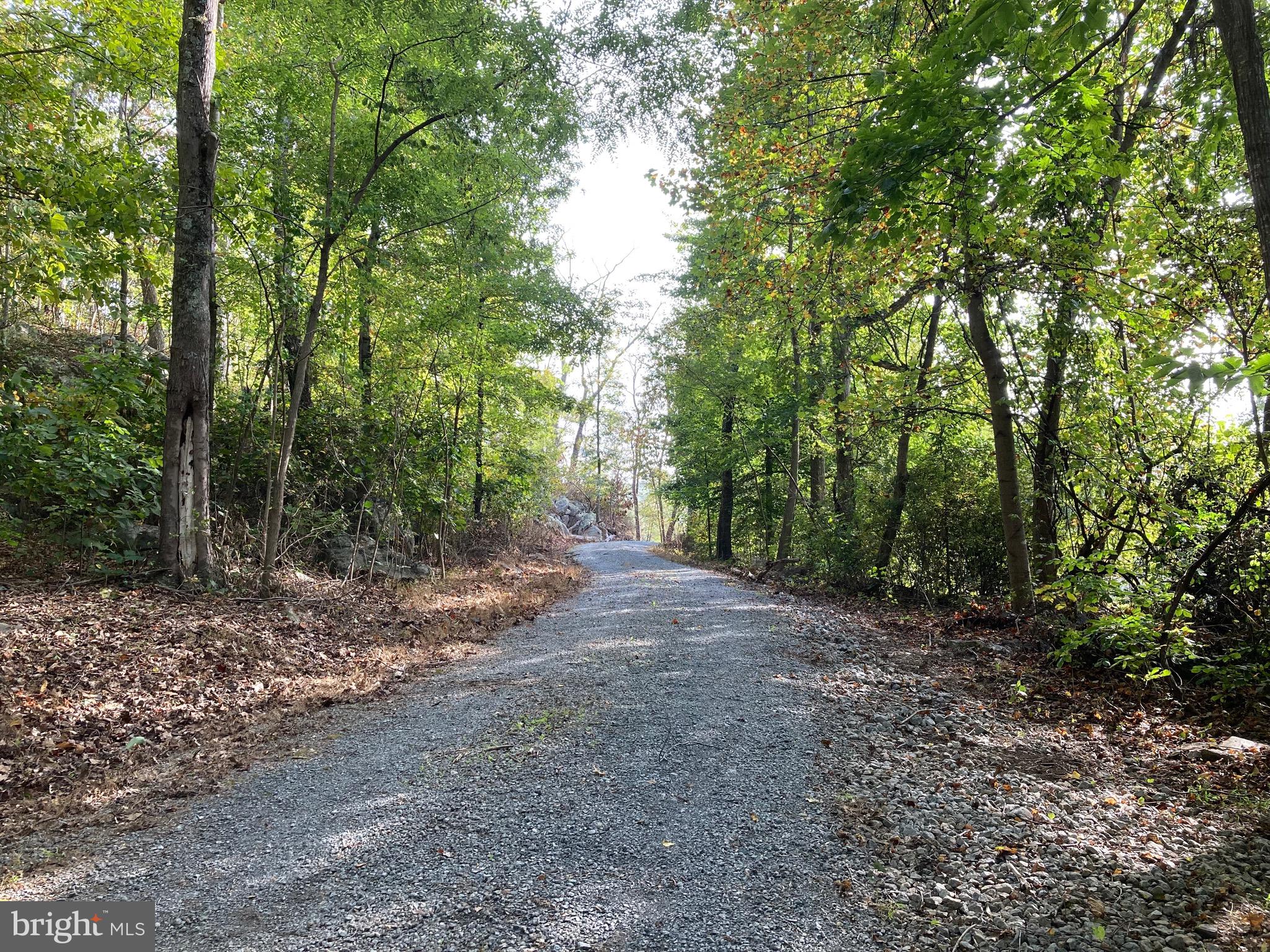132 Mt Carmel Rd