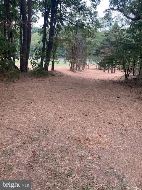 132 Mt Carmel Rd
