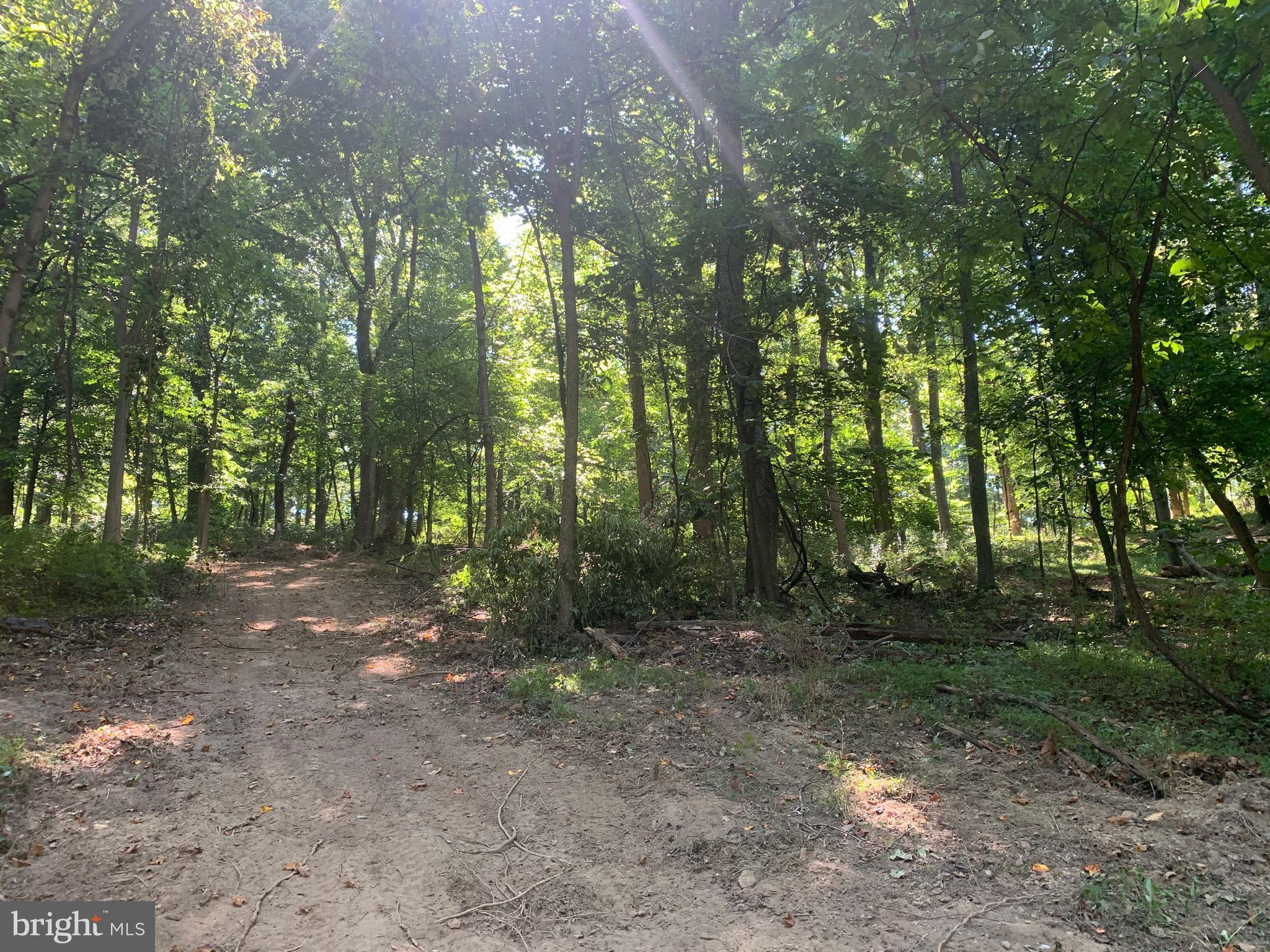 132 Mt Carmel Rd