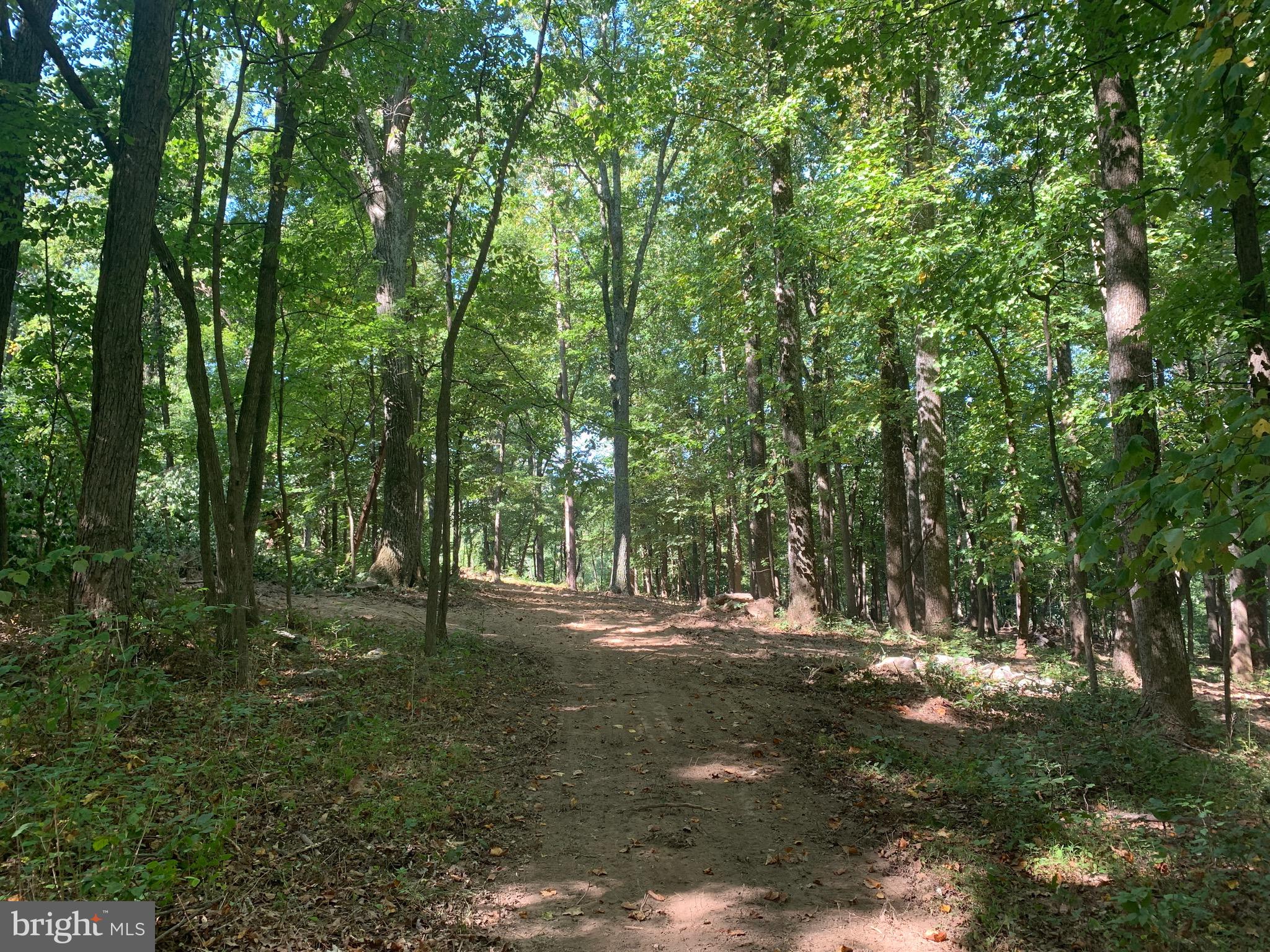 132 Mt Carmel Rd