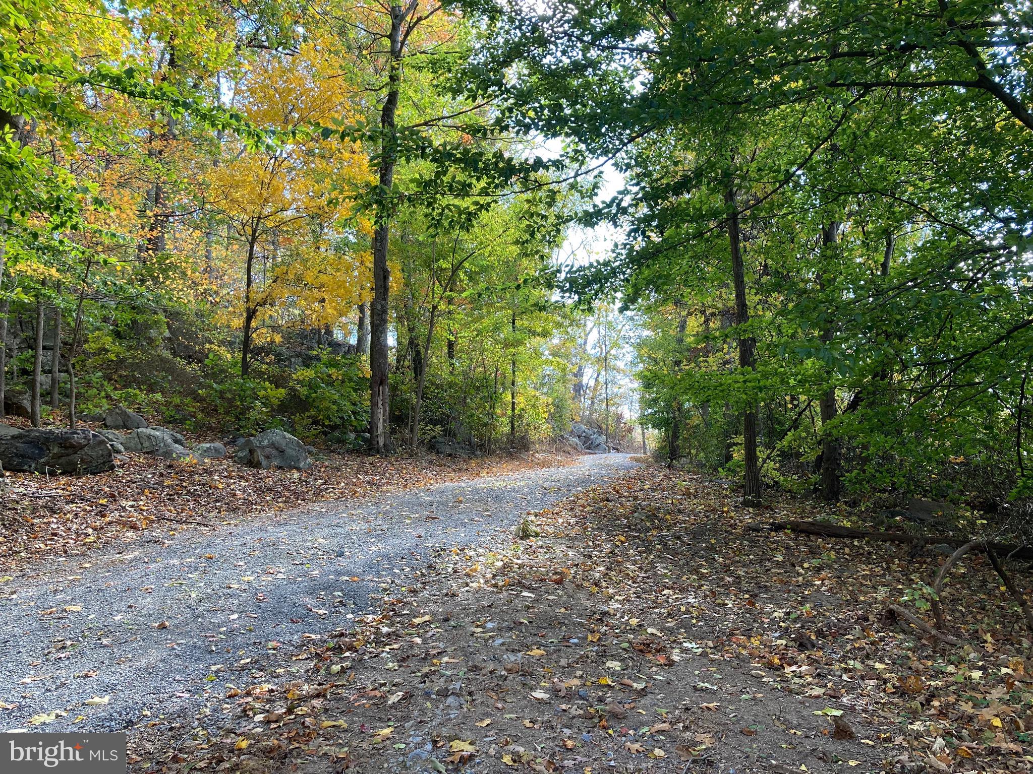 132 Mt Carmel Rd