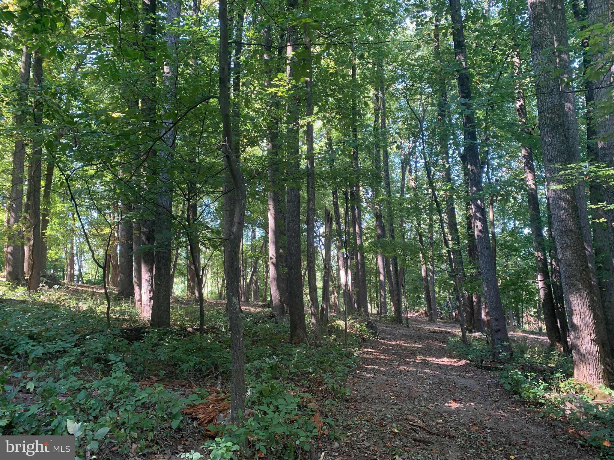 132 Mt Carmel Rd