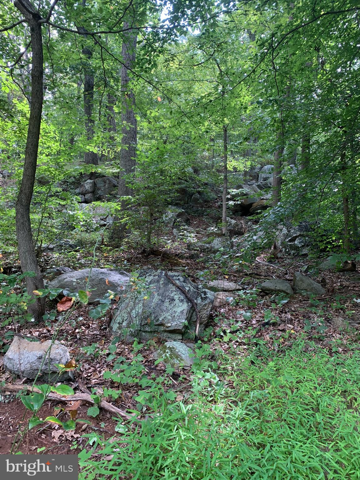 132 Mt Carmel Rd