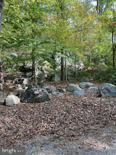 132 Mt Carmel Rd