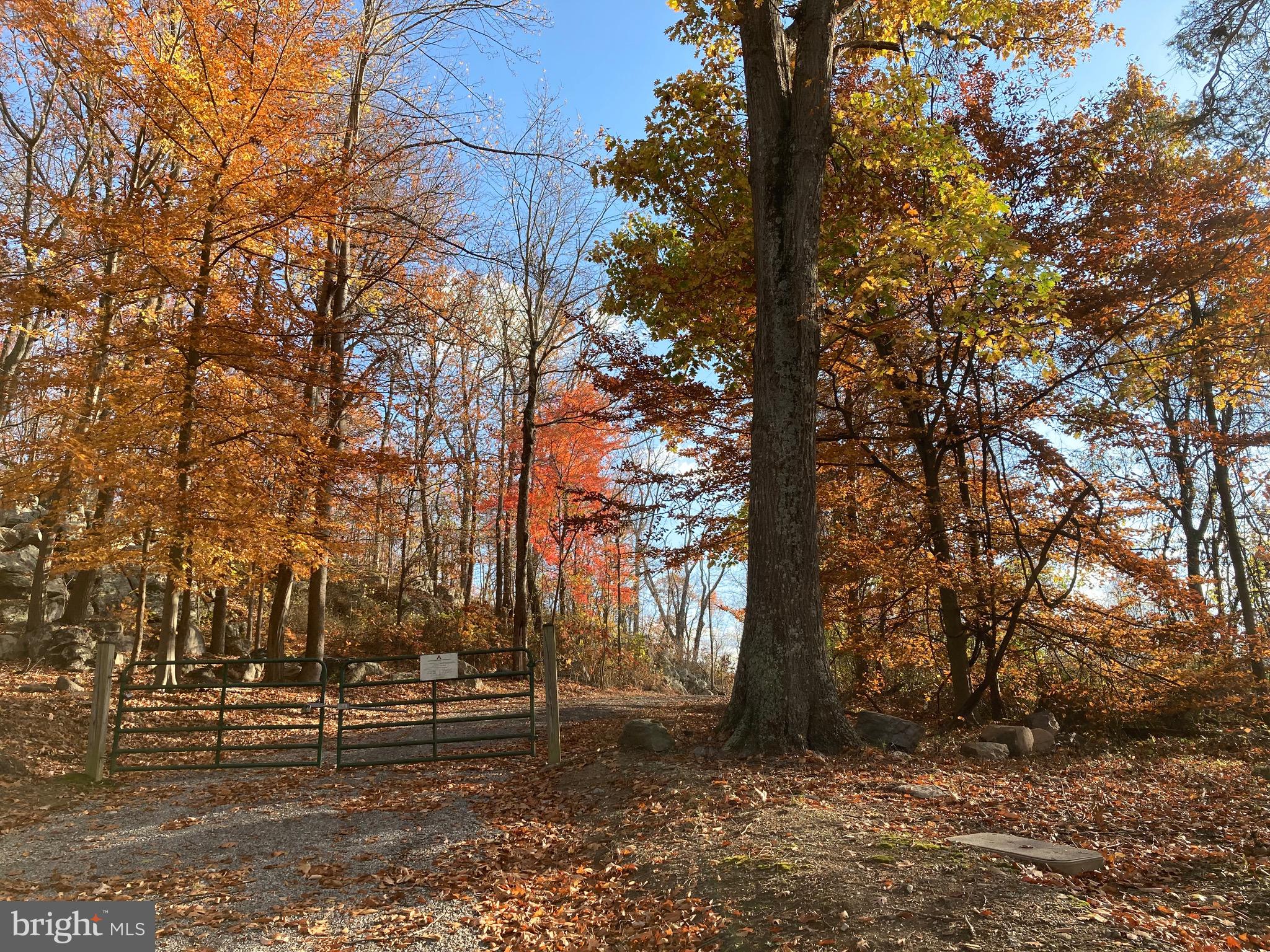 132 Mt Carmel Rd
