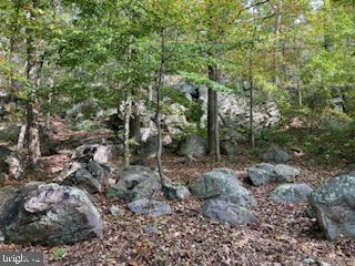 132 Mt Carmel Rd