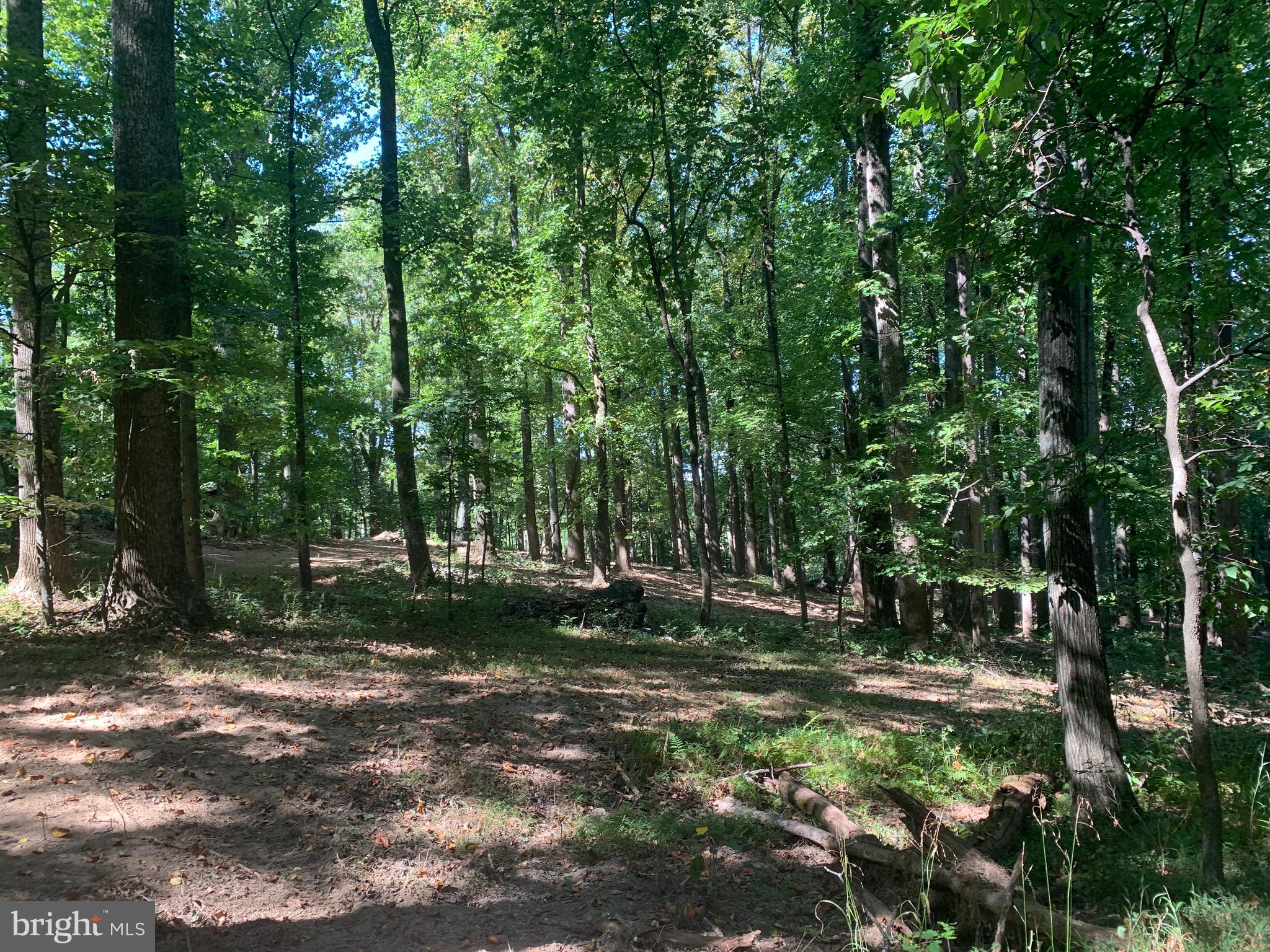 132 Mt Carmel Rd
