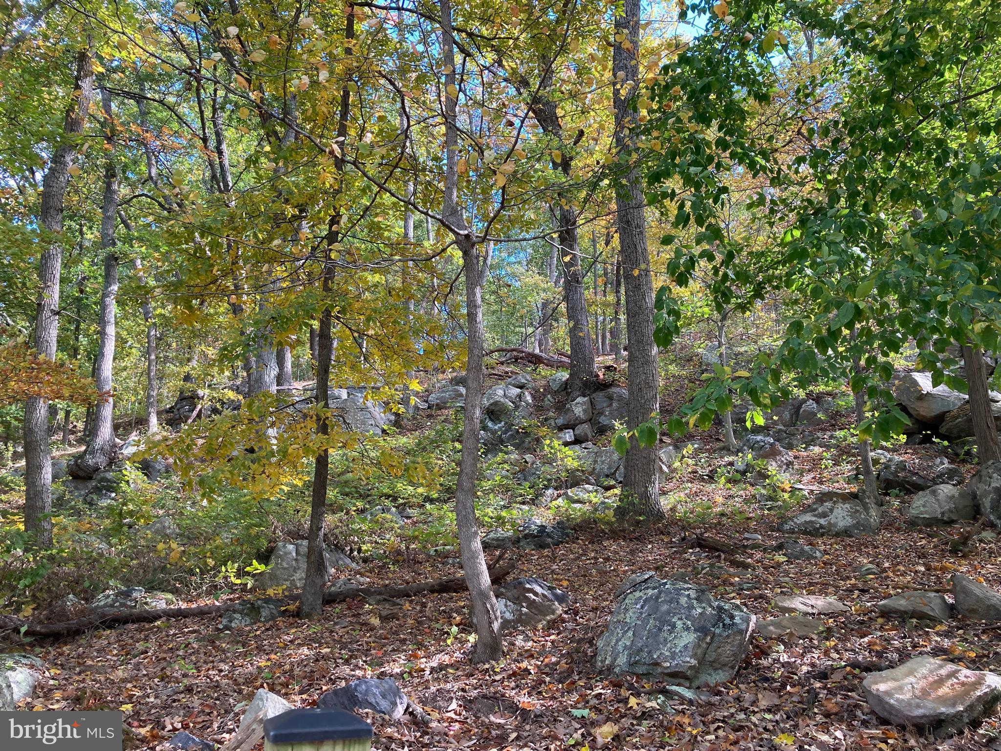 132 Mt Carmel Rd