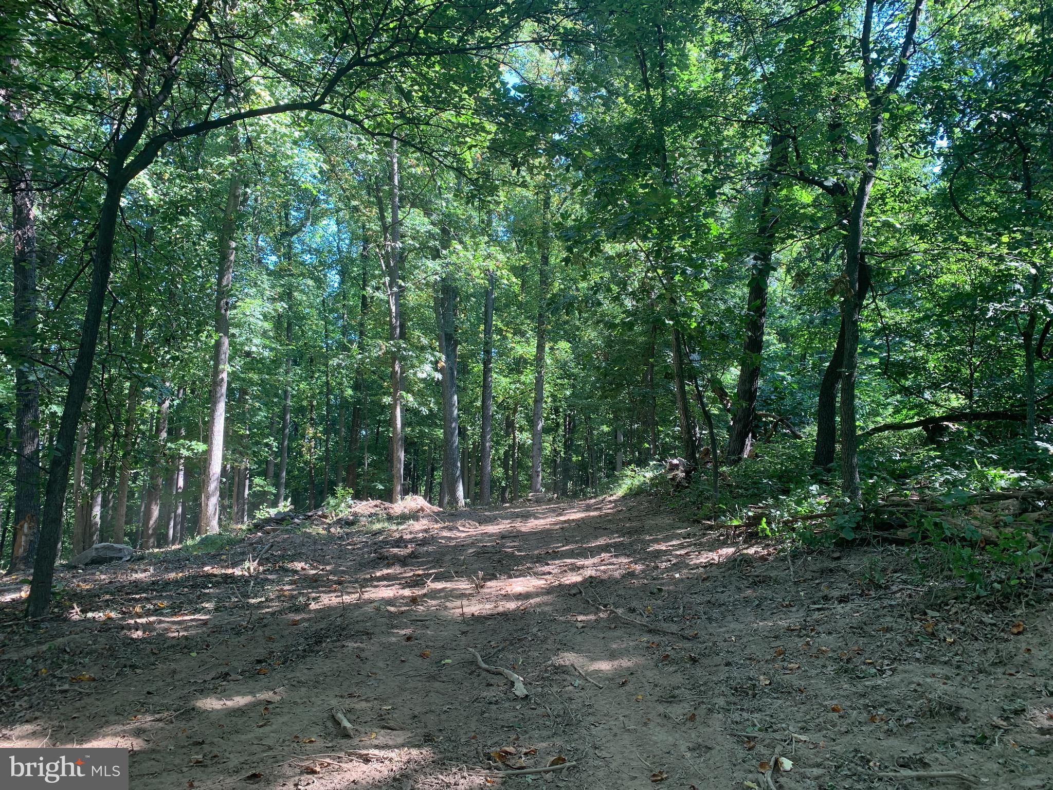 132 Mt Carmel Rd