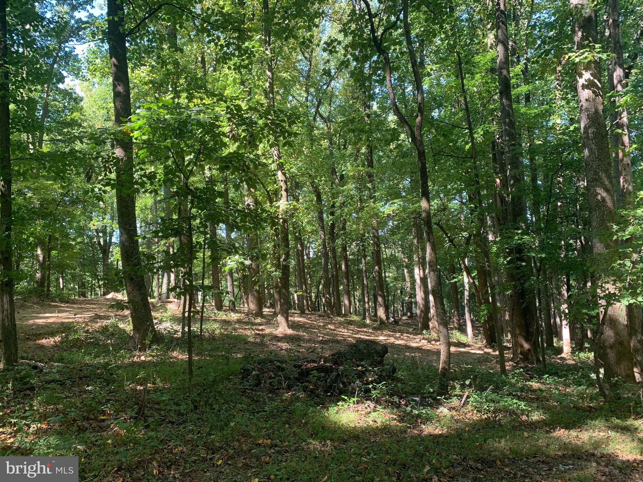 132 Mt Carmel Rd