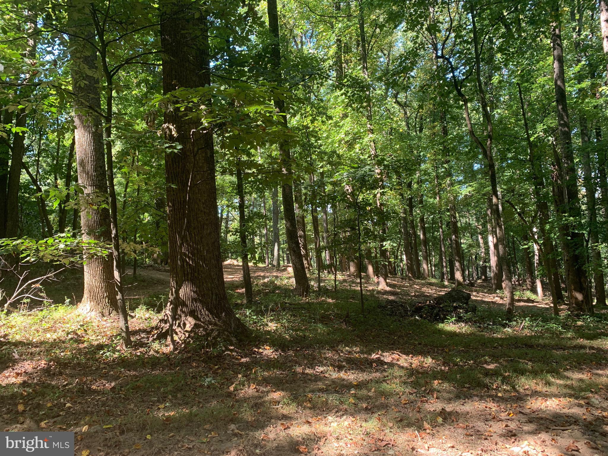 132 Mt Carmel Rd