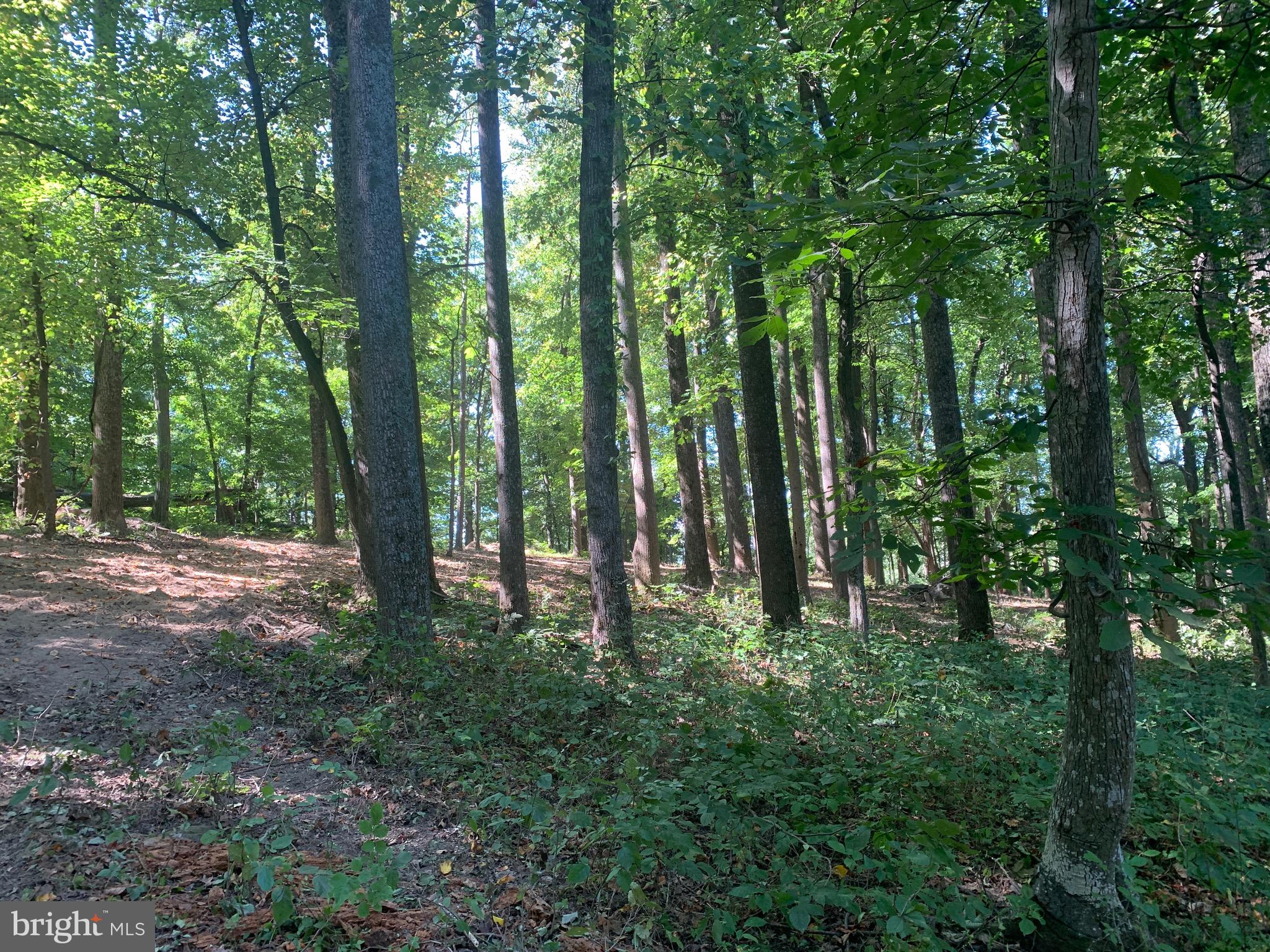 132 Mt Carmel Rd
