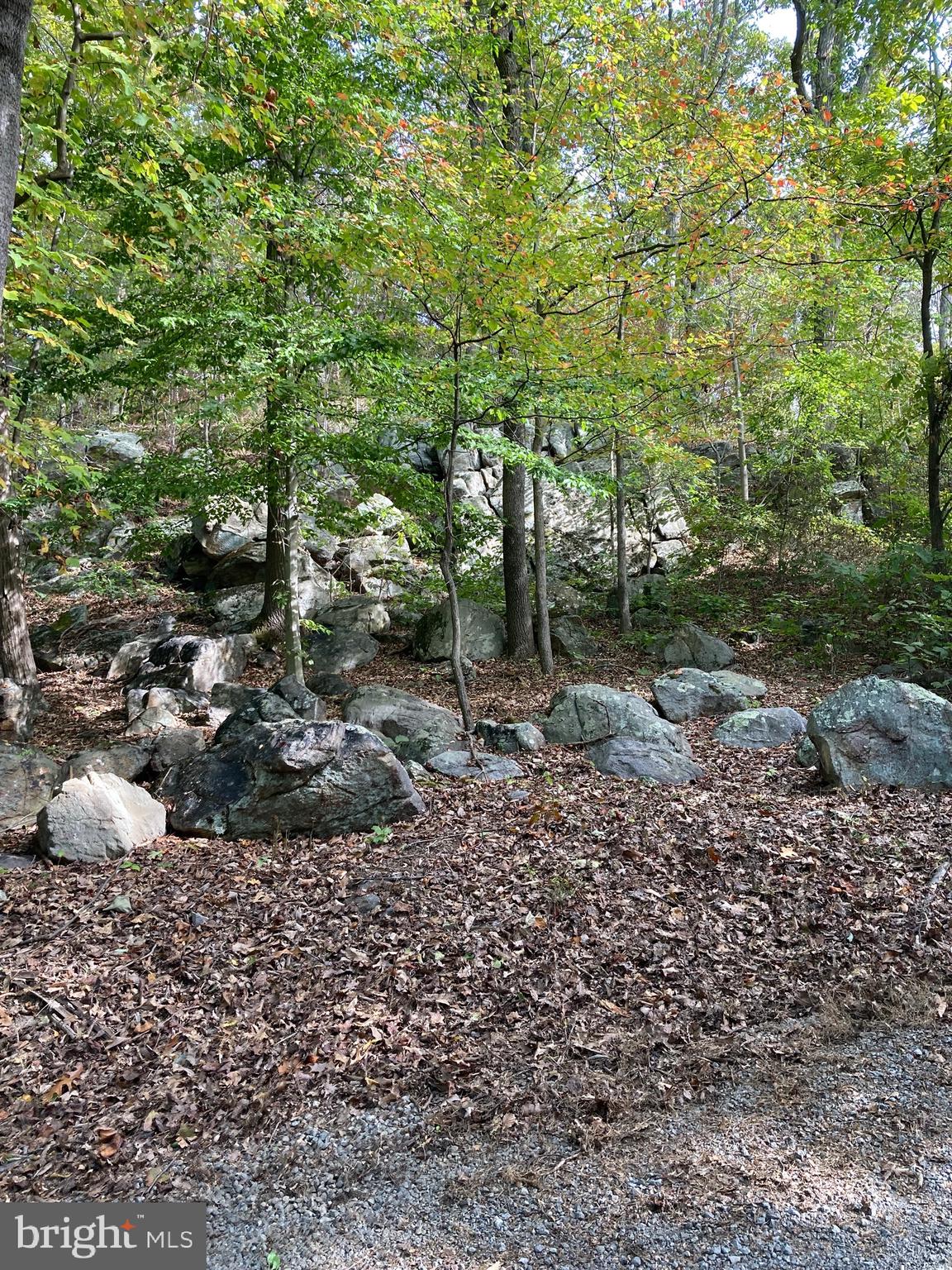 132 Mt Carmel Rd