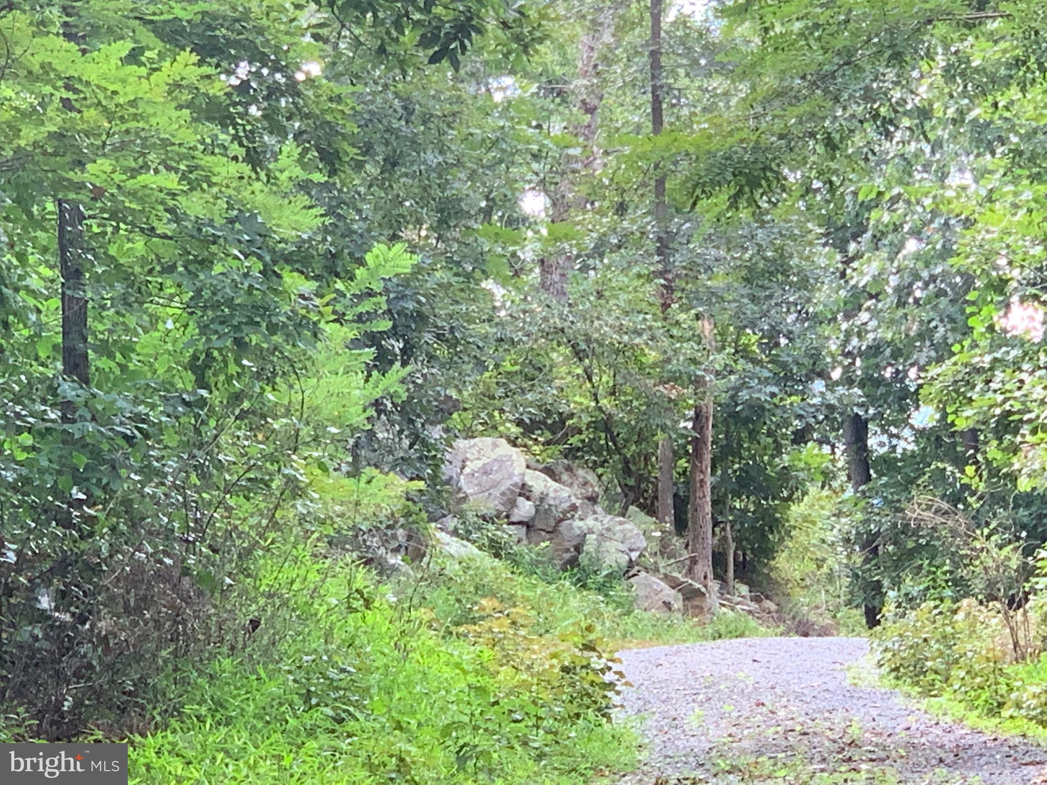 132 Mt Carmel Rd
