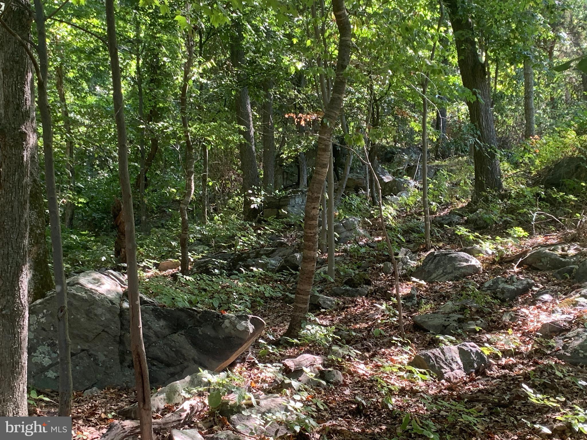 132 Mt Carmel Rd