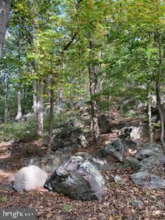 132 Mt Carmel Rd