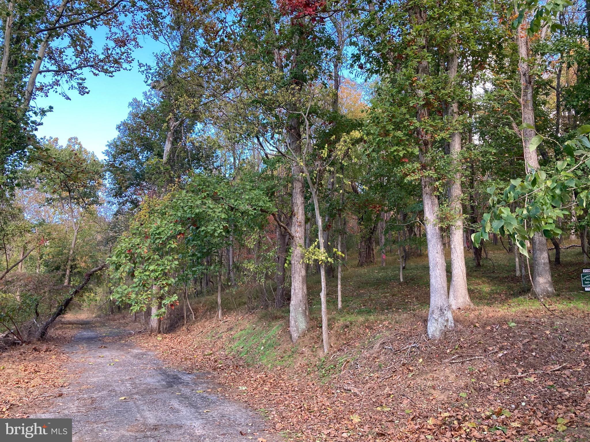 Winchester Road