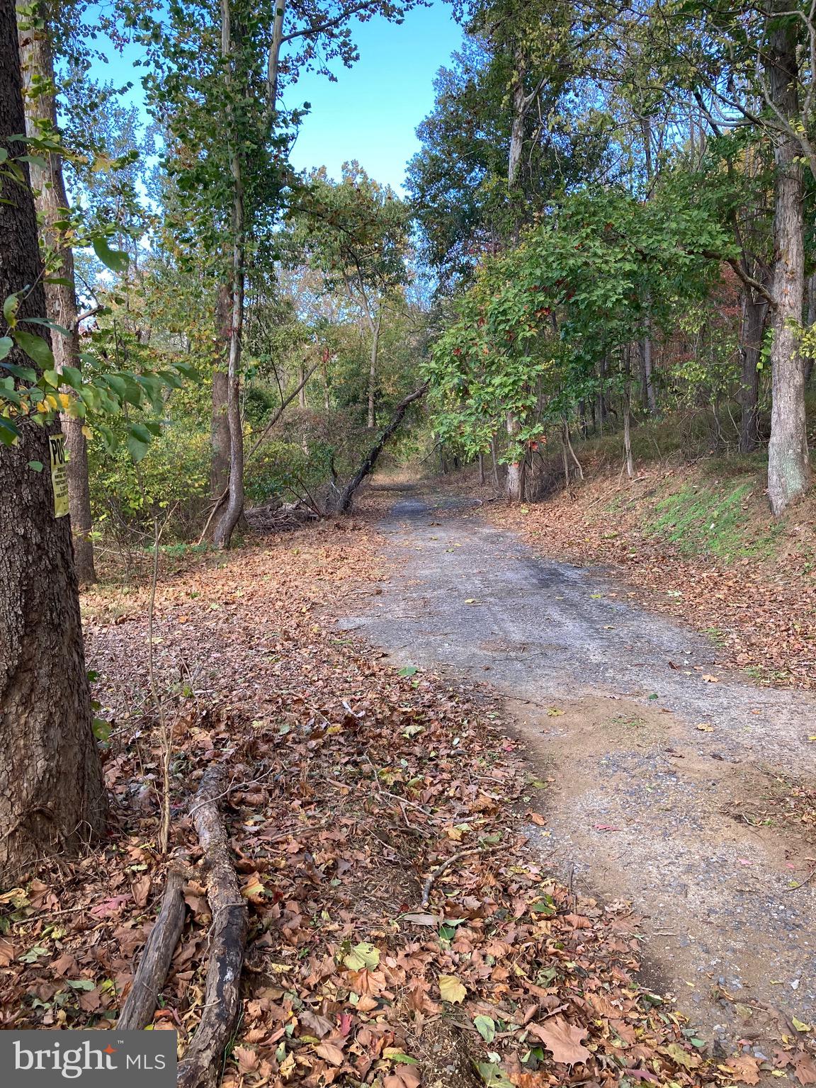 Winchester Road