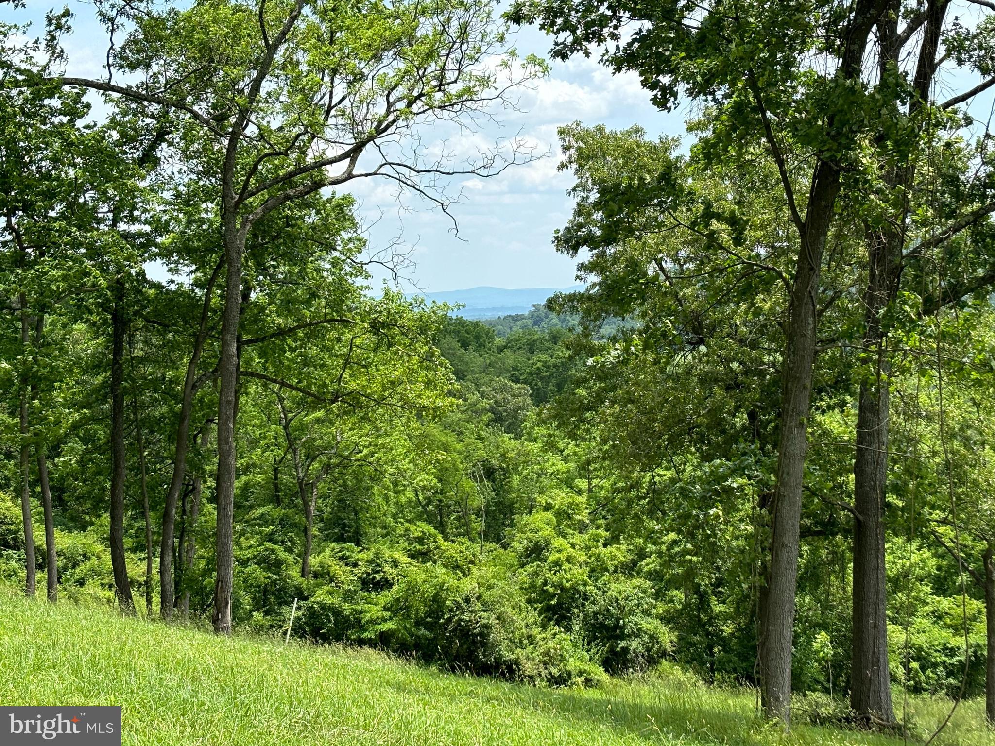 10436 John S. Mosby Hwy