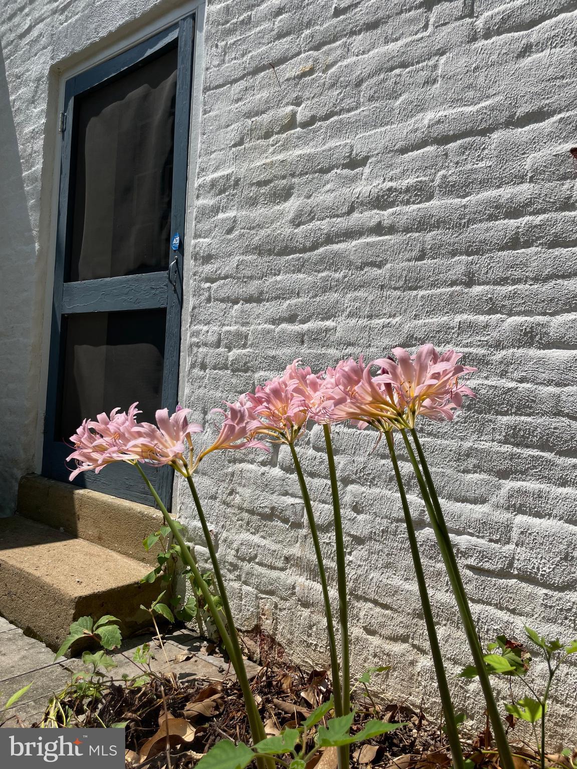 677 Federal St