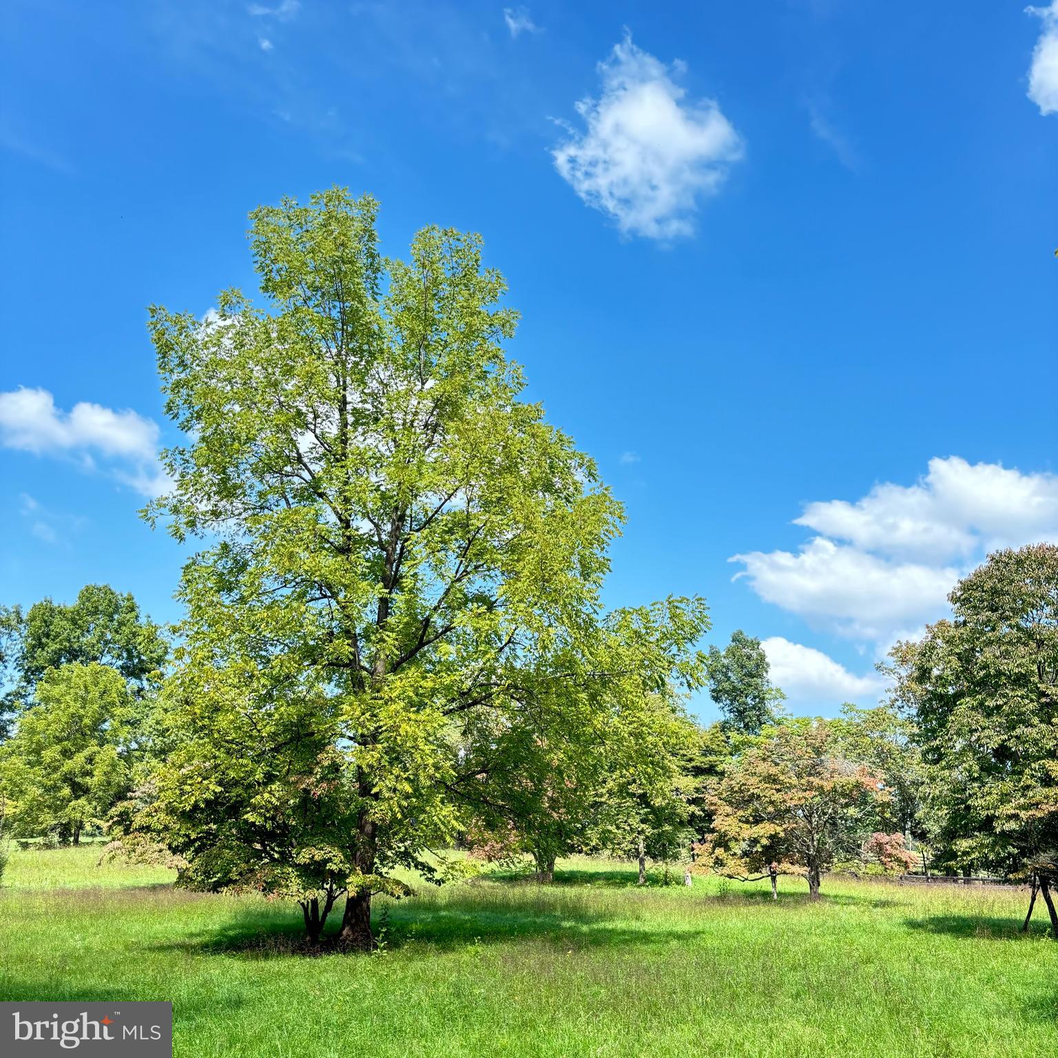 6589 Rockhill Mill