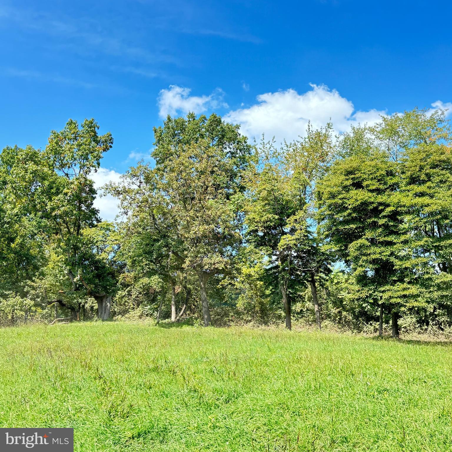 6589 Rockhill Mill