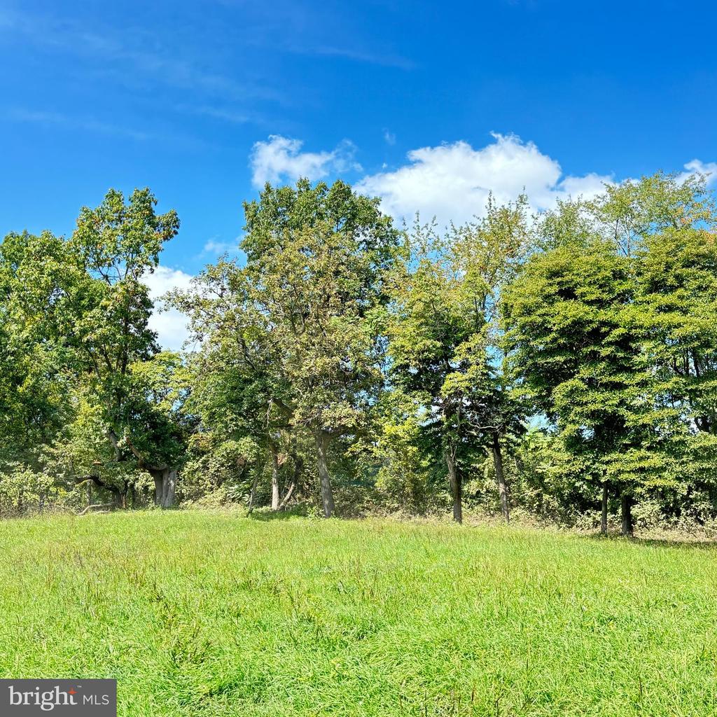 6589 Rockhill Mill