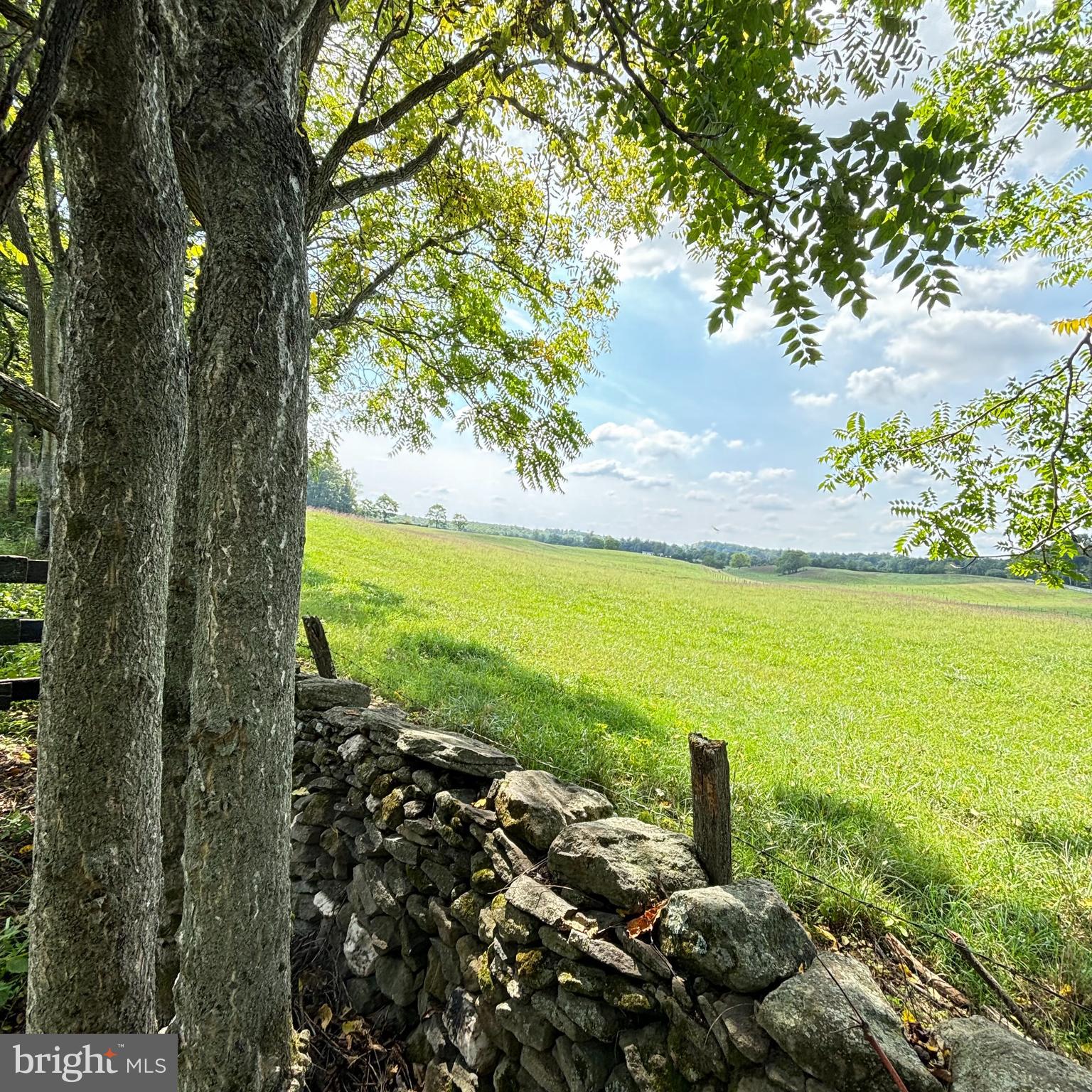 6589 Rockhill Mill