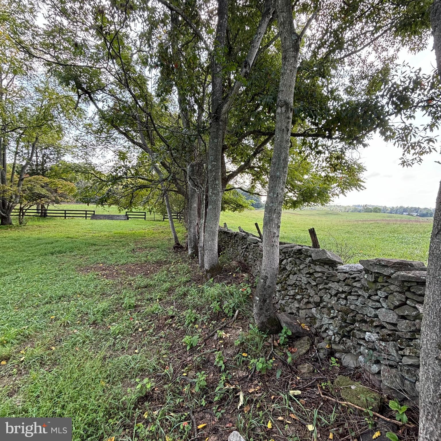 6589 Rockhill Mill