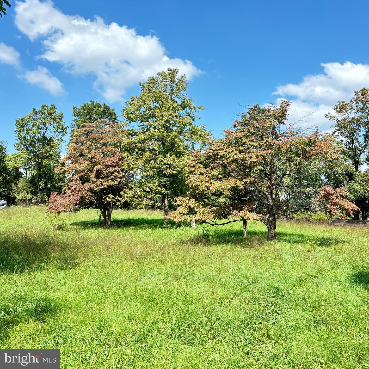 6589 Rockhill Mill