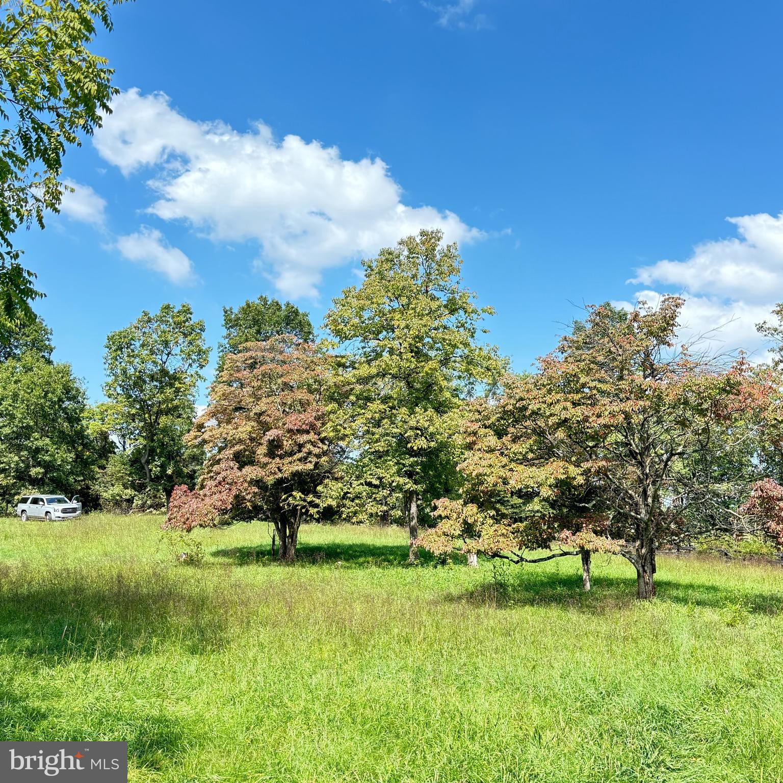 6589 Rockhill Mill