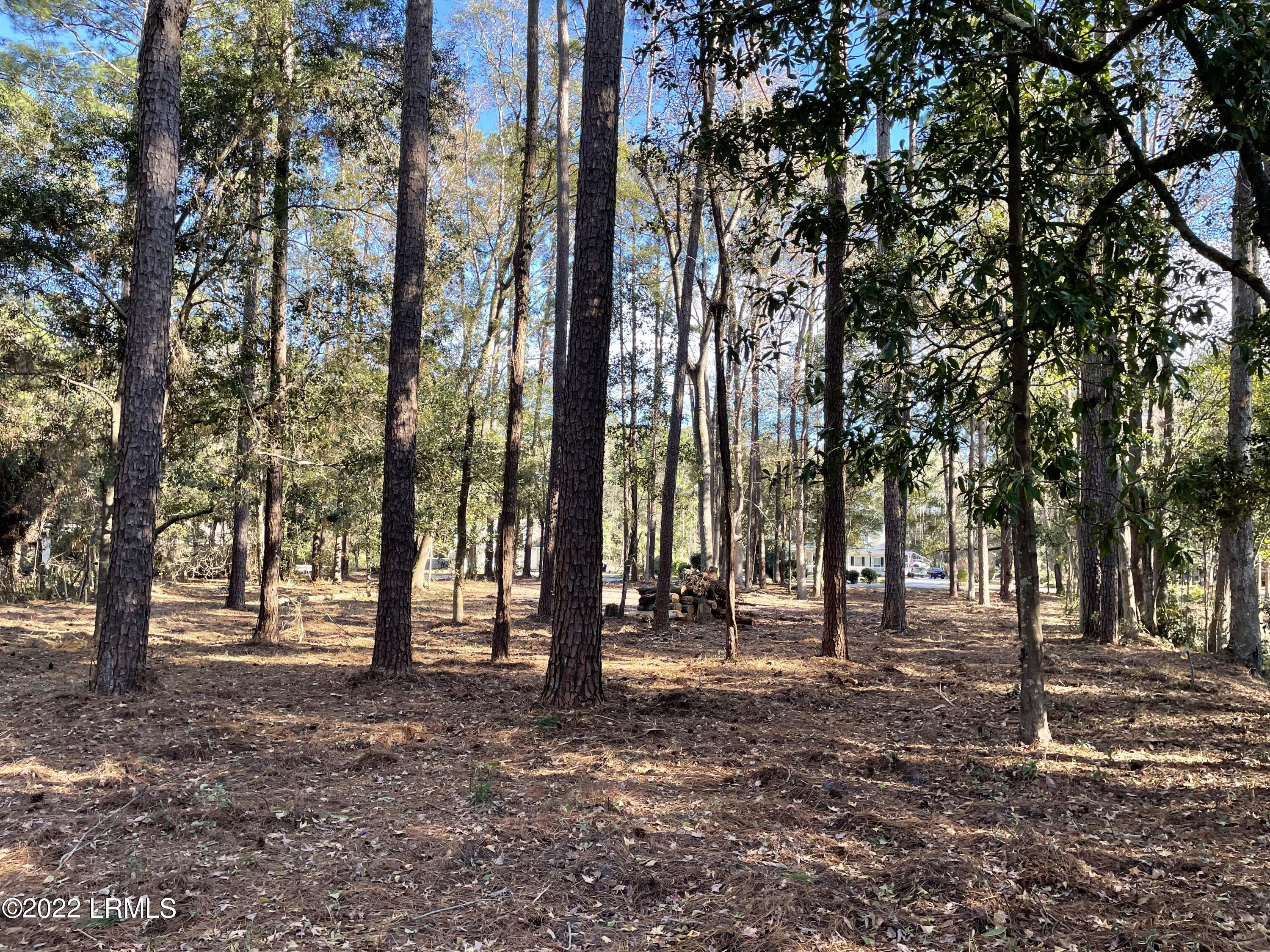 59 Wade Hampton Drive