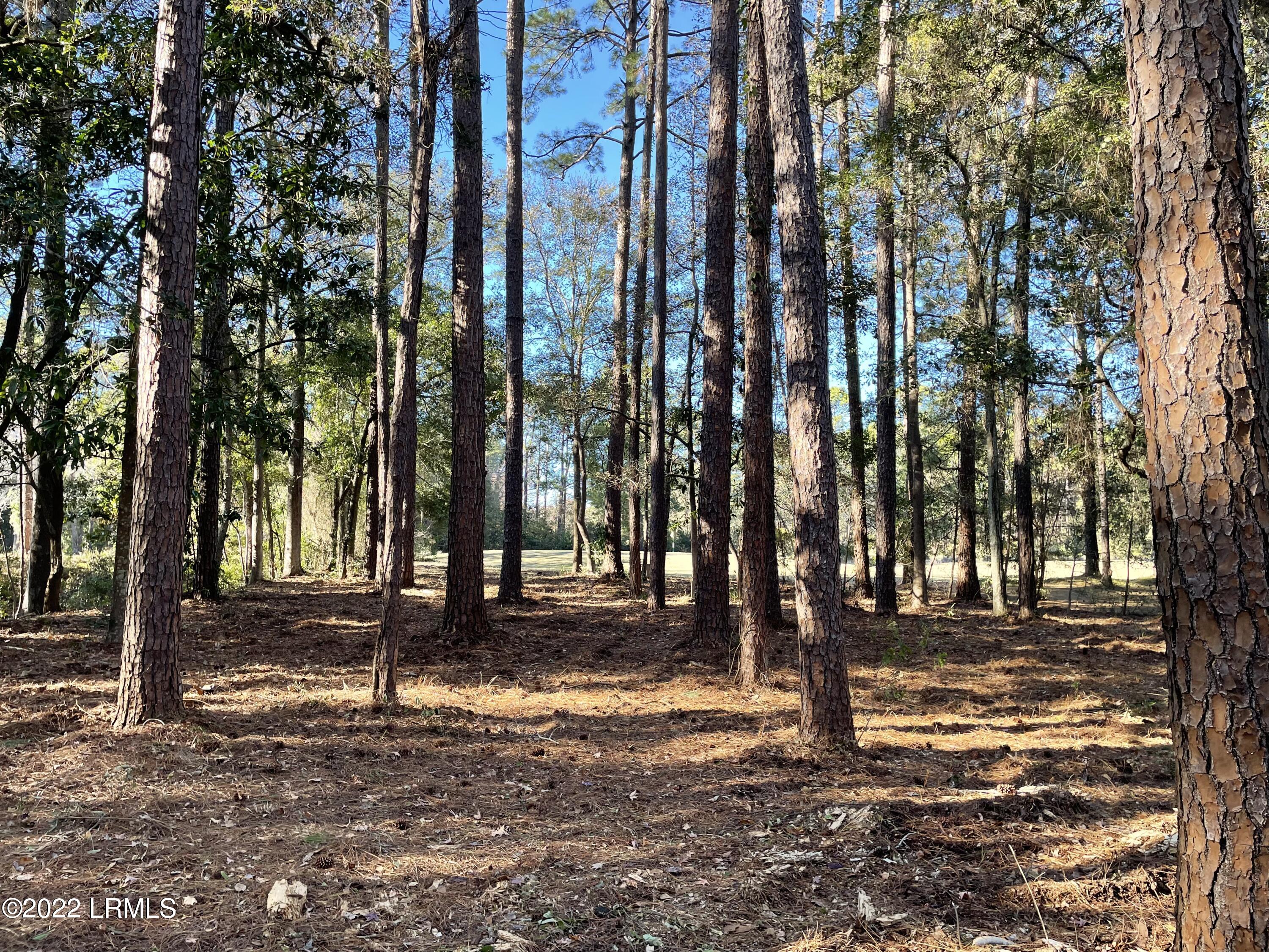 59 Wade Hampton Drive