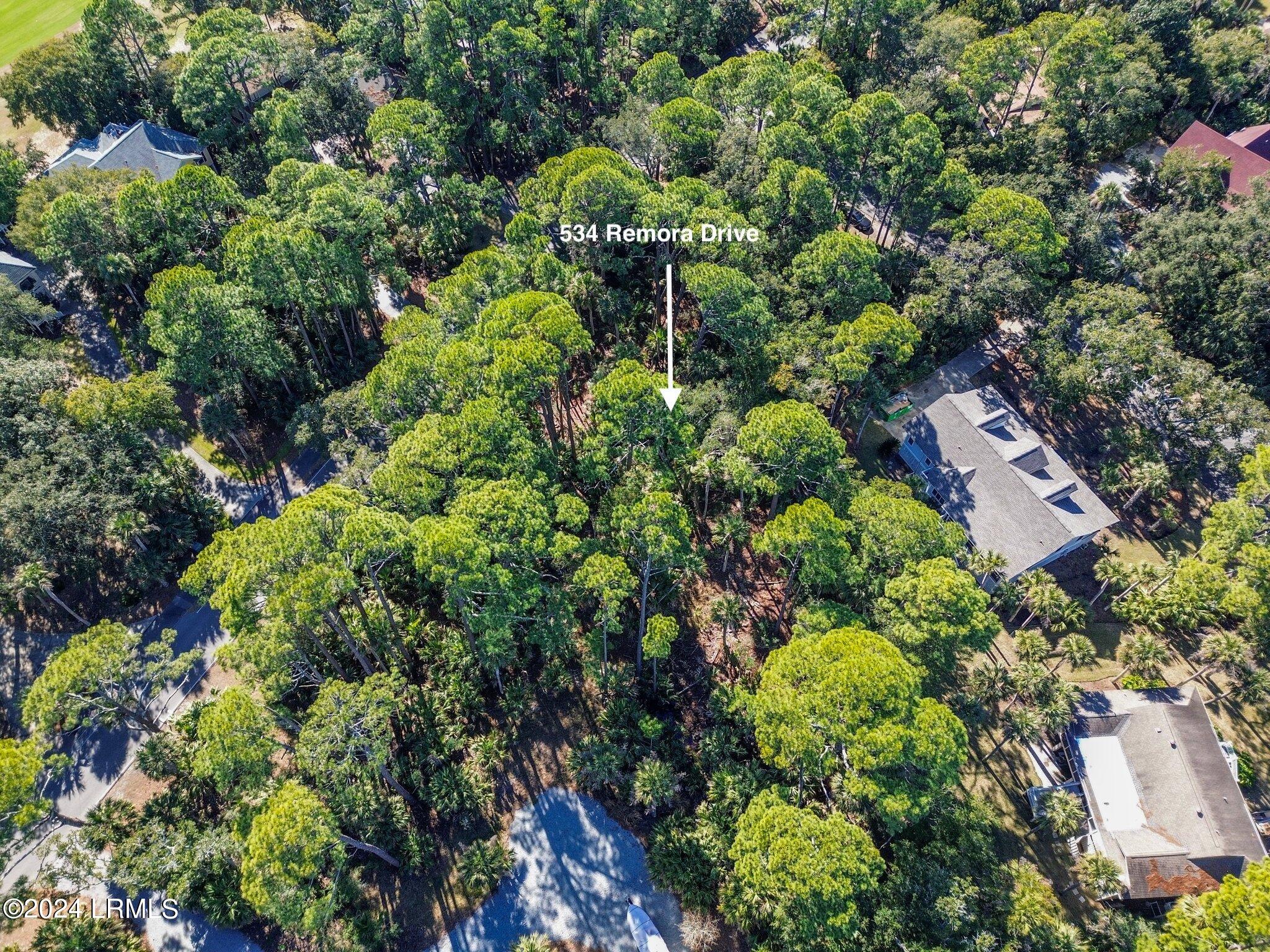 534 Remora Drive