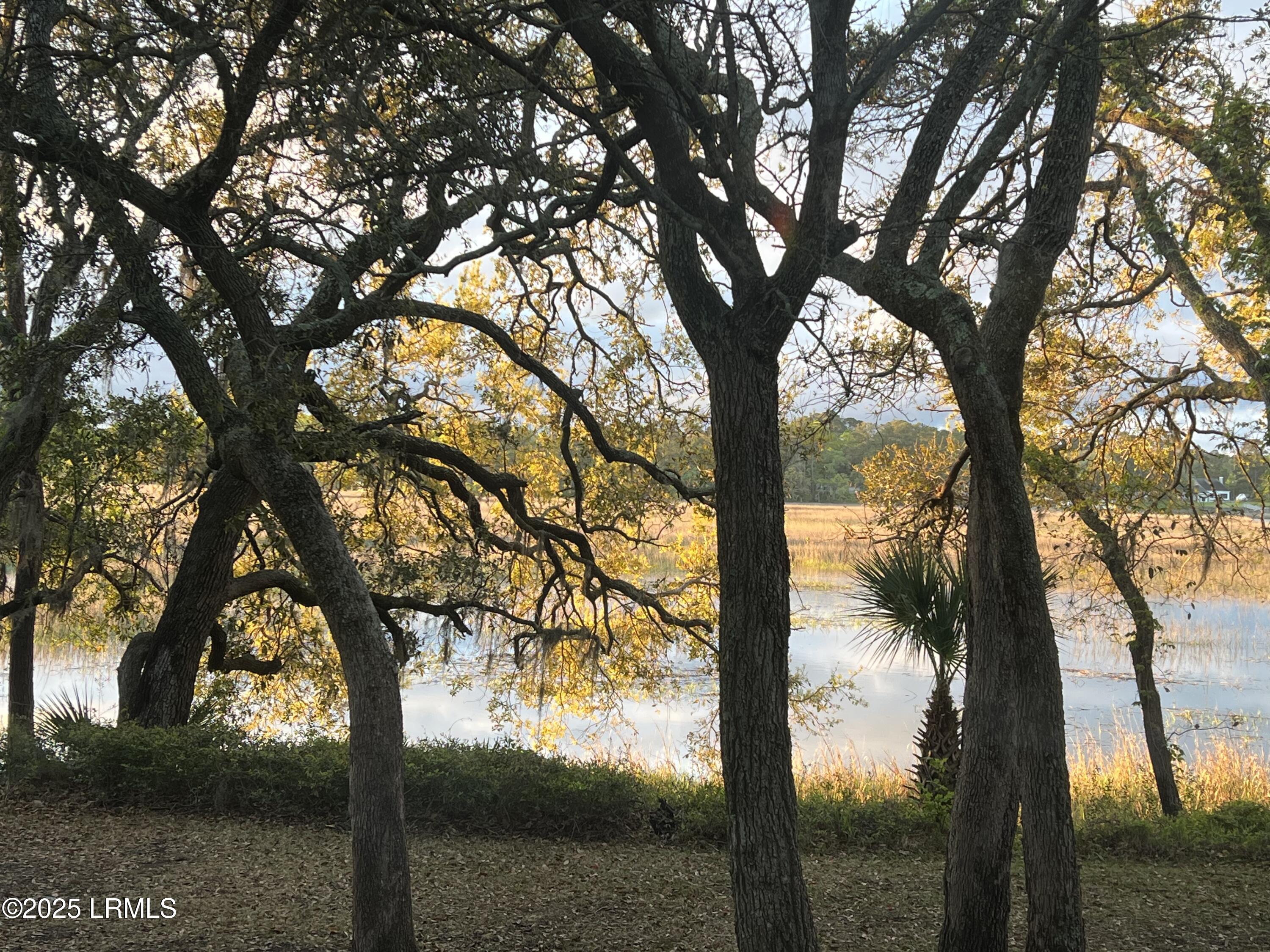 20 Eve Creek