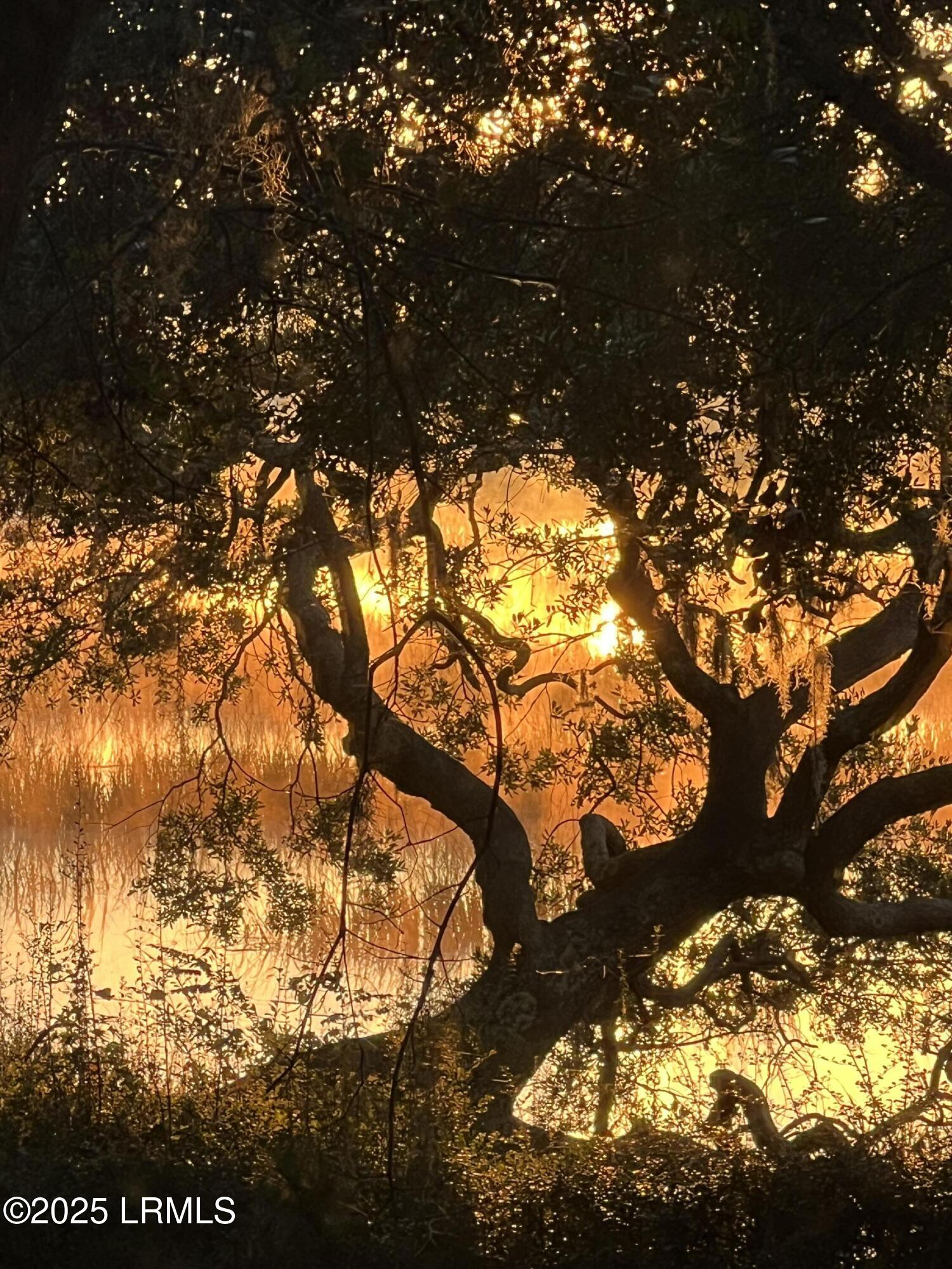20 Eve Creek