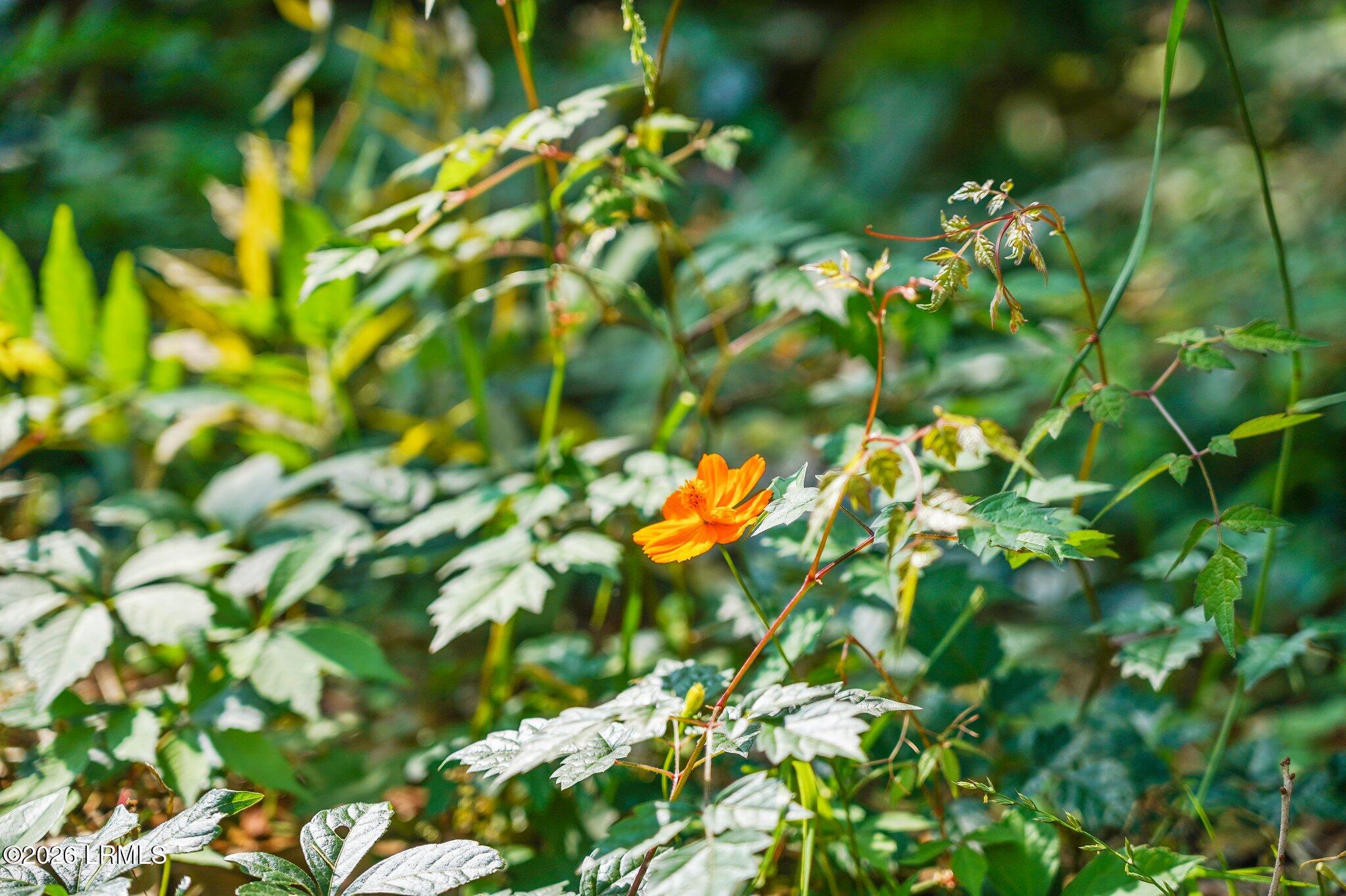 1700 Lafayette Street