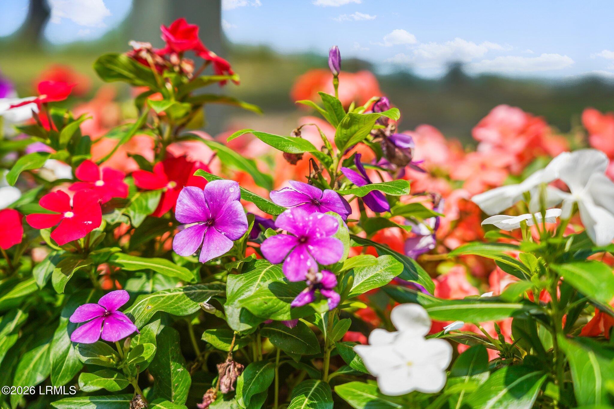 1700 Lafayette Street