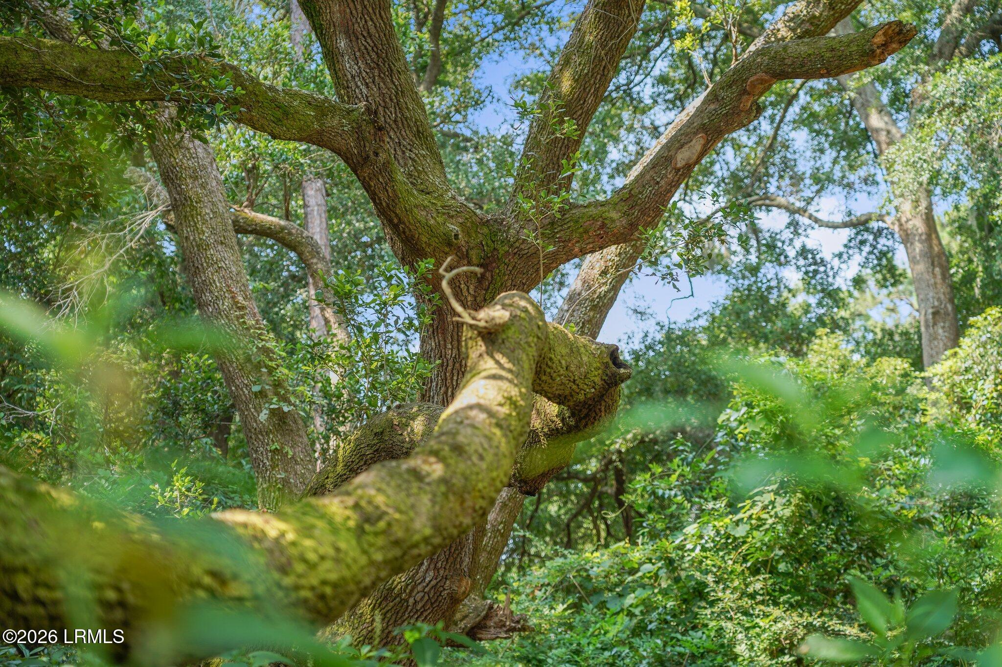 1700 Lafayette Street