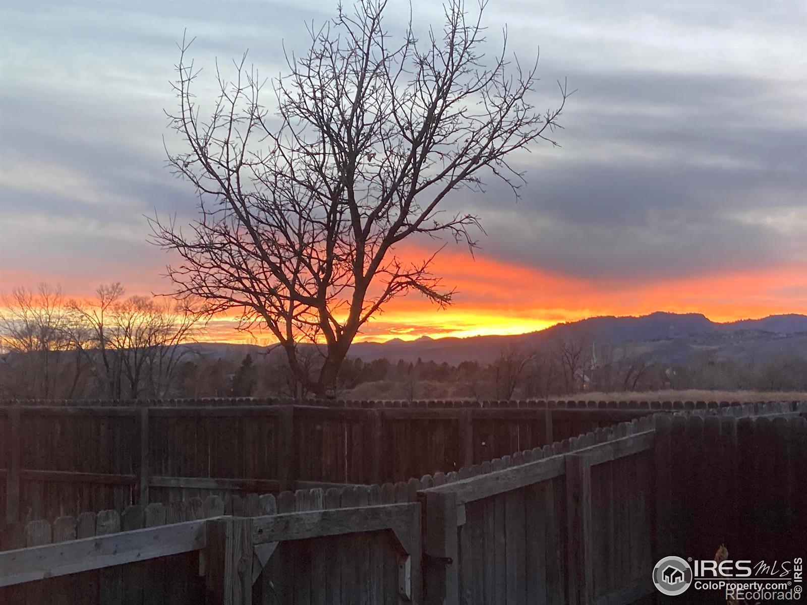 1018 Stonecrop Court