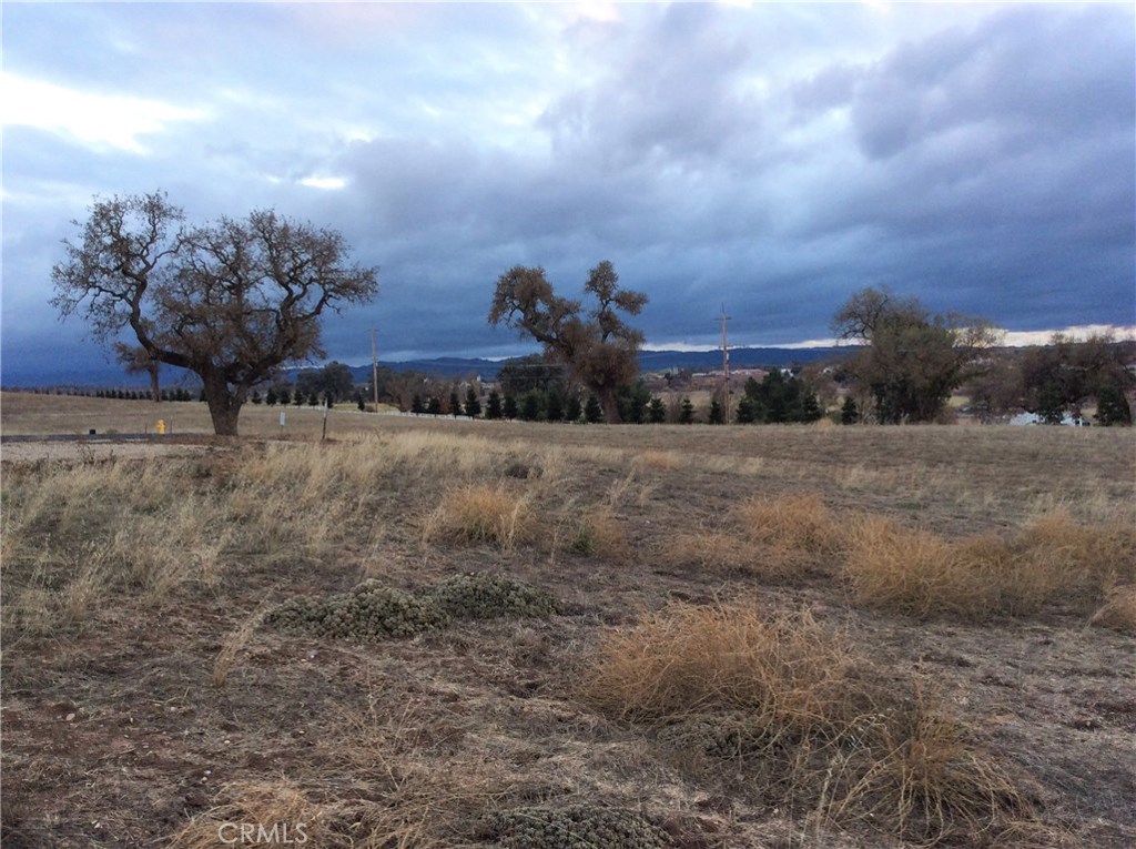 1360 Lot 10 Fire Rock Loop