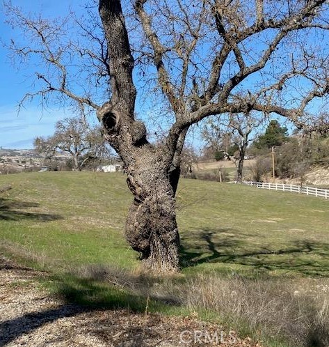 1440 Lot 12 Fire Rock Loop