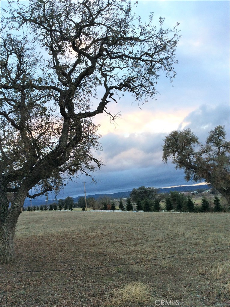 1320 Lot 9 Fire Rock Loop