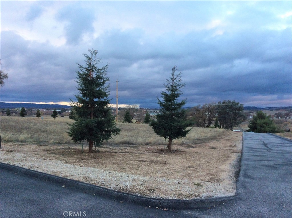 1320 Lot 9 Fire Rock Loop