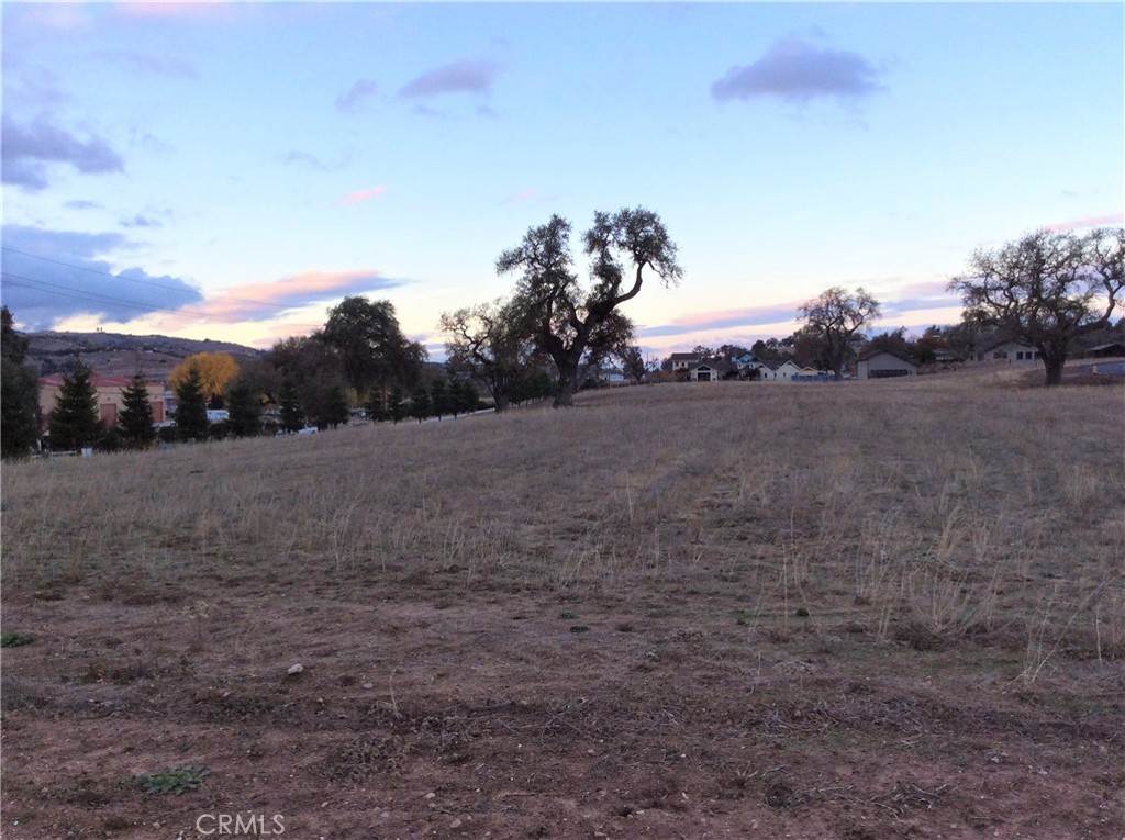 1320 Lot 9 Fire Rock Loop