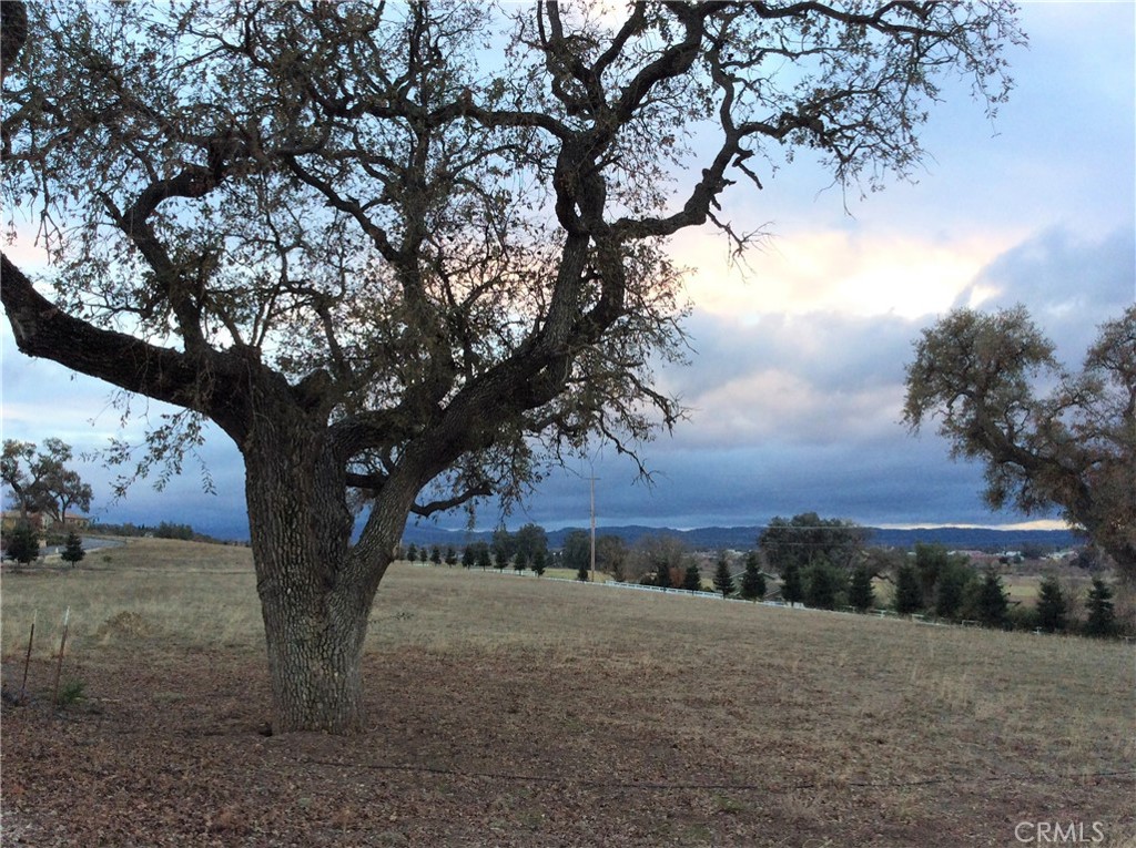 1320 Lot 9 Fire Rock Loop