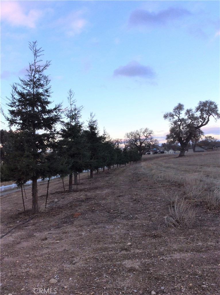 1320 Lot 9 Fire Rock Loop