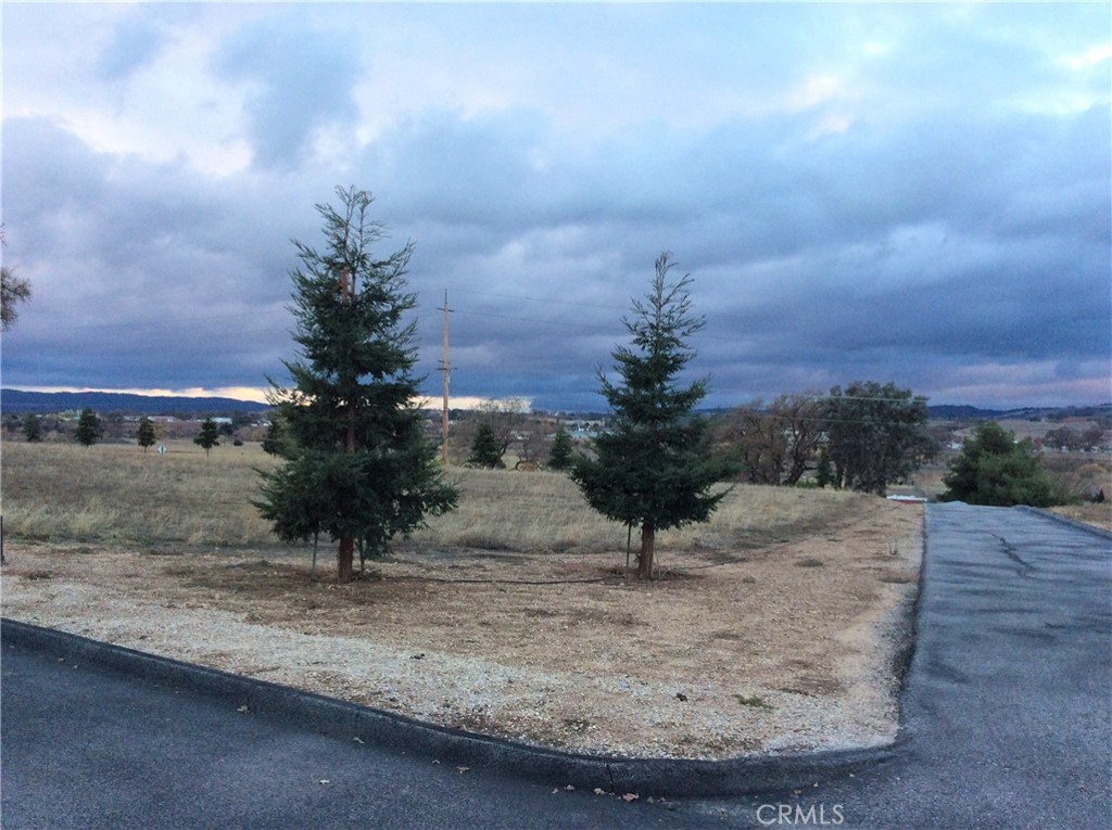 1320 Lot 9 Fire Rock Loop