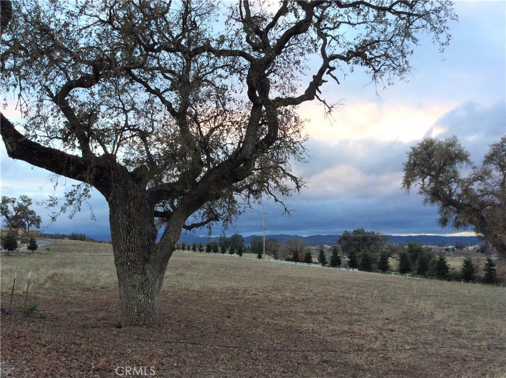1320 Lot 9 Fire Rock Loop